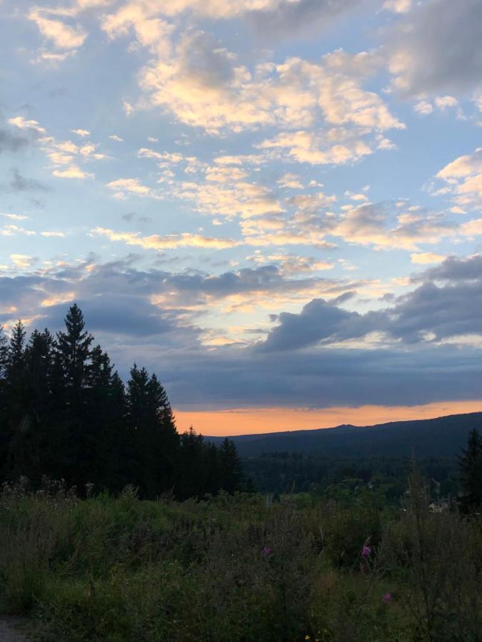 Am Duerrenbachtal Apartment Клингентал Екстериор снимка